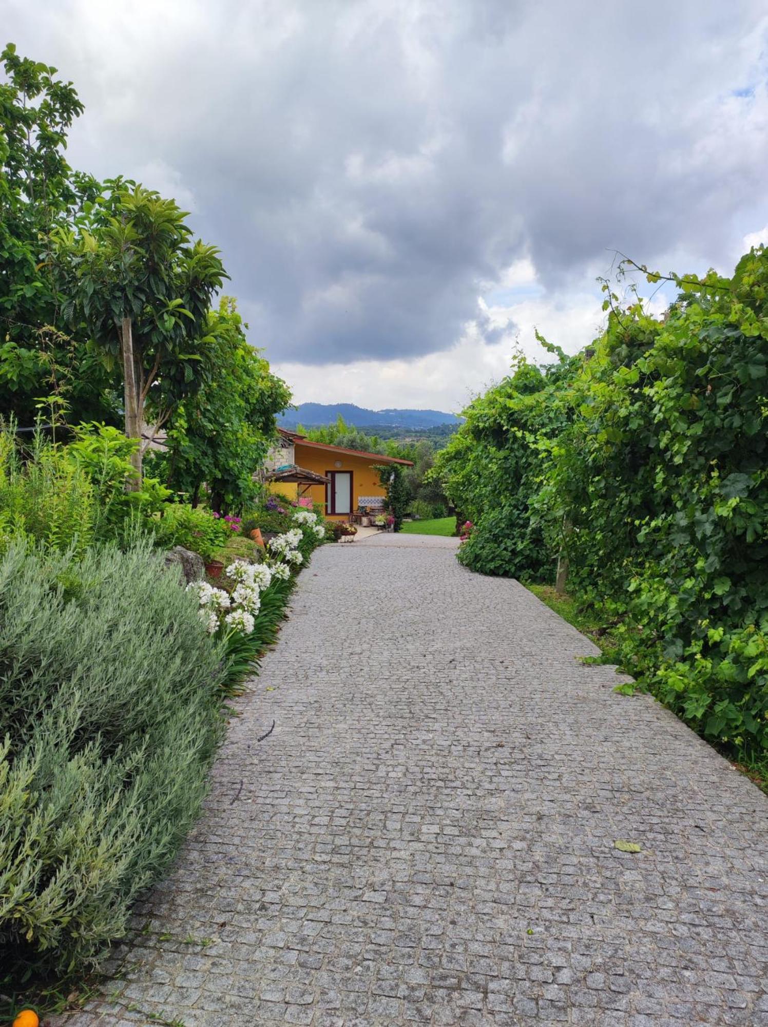 Casa Matreiro Villa Prozelo Kültér fotó